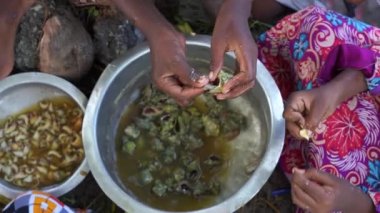 Genç Afrikalı kızlar, Tanzanya, Zanzibar, Doğu Afrika 'daki evin yakınındaki sokakta deniz kabuklarından midye topluyor.