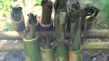 Geleneksel yemeklerde bambu pilavı yakmak, Asya yemekleri. Ubud, Bali Adası, Endonezya. Kapatın. Yapışkan pirinç ve tatlı hindistan cevizi sütü.
