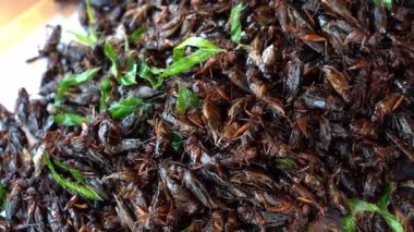 Kızarmış Ağustos Böceği Tayland 'da geleneksel Tayland yemeklerinden biridir. İyice kızarana kadar kızarırlar. Ta ki gevrek, tuzlu ve protein açısından zengin bir atıştırmalık olana kadar.