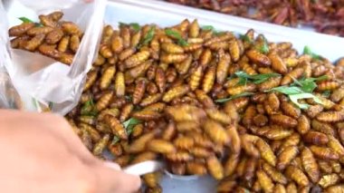 Kızarmış larva ve çekirgeler Tayland 'daki sokak gıda pazarında satılıyor. Kızarmış böcek, Tayland mutfağı. Çıtır çıtır olana kadar kızartılır ve protein açısından zengin bir atıştırmalık olarak yenir.