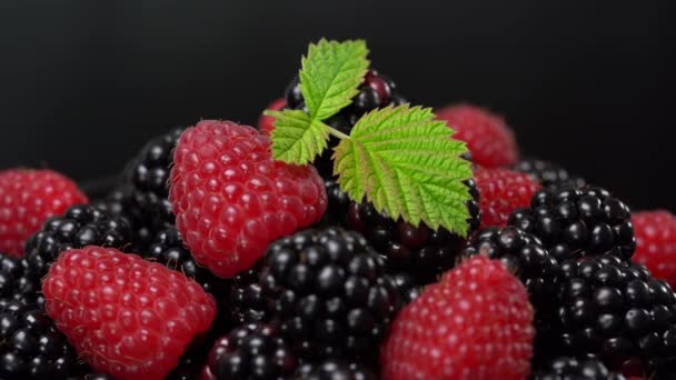 Antecedentes Moras Frambuesas Orgánicas Frescas Montón Frutas Silvestres Jugosas Maduras — Vídeos de Stock