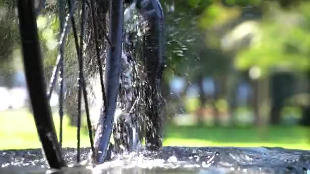 Beautiful Fountain Spinning Bicycle Wheel Sunlight Water Splashing City Batumi — Video Stock