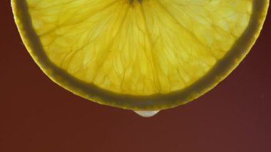 Taze portakal dilimi ve kırmızı arka planda su damlası, makro, kapat. Parlak sulu narenciye posası yakından. Sağlıklı yaşam tarzı, vitaminler, düzgün beslenme, diyet, yaz, taze meyve suyu kavramları