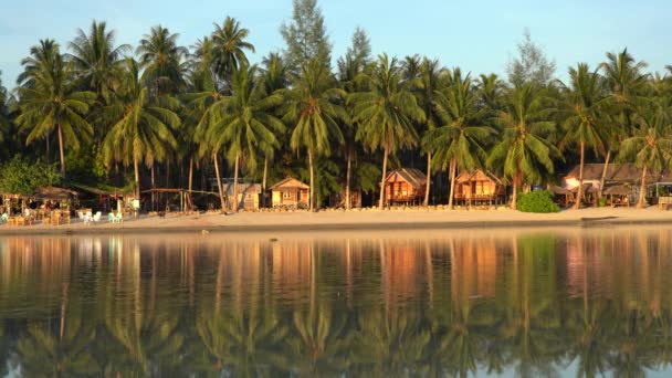 Koh Phangan Tajlandia Maj 2019 Piękna Zatoka Palmami Kokosowymi Drewnianymi — Wideo stockowe