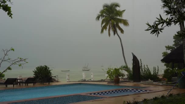 熱帯夏の雨は ビーチの海の近くのスイミングプール ザンジバル タンザニア 東アフリカの島に落下大きな雨が値下がりしました 自然と環境の概念 — ストック動画
