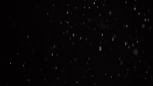 Invierno Cayendo Nieve Sobre Fondo Negro Pequeños Copos Nieve Cayendo — Vídeos de Stock