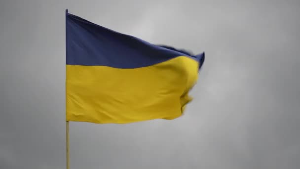 Bandera Ucrania Ondeando Viento Fondo Del Cielo Cerca Color Nacional — Vídeo de stock