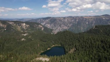 Yoğun kozalaklı ve kayın ormanlarıyla çevrili dağ gölü manzarası. Karadağ, Avrupa. Karadağ 'da ona Zabojsko Jezero diyorlar ve 1481 metre yüksekliğe sahip.