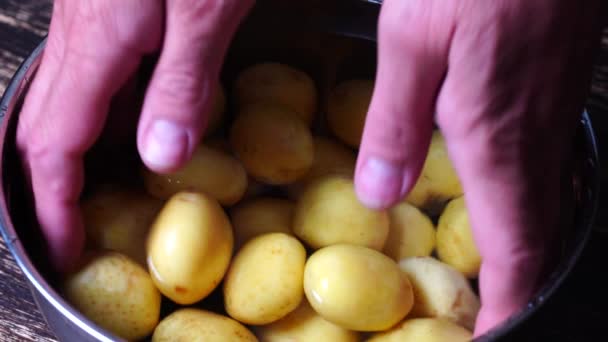 Cozinheiro Lava Batatas Jovens Água Uma Panela Metálica Perto Homem — Vídeo de Stock