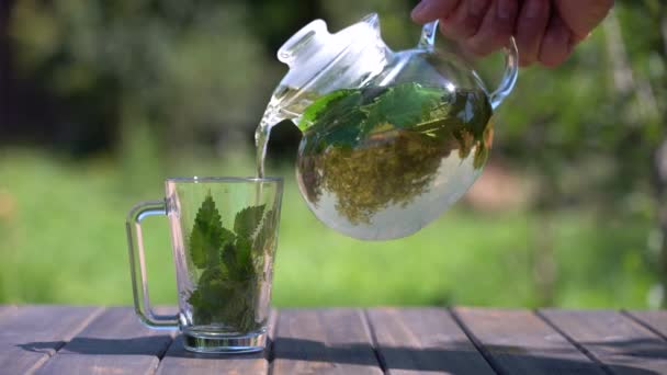 Cam Çaydanlıktaki Sağlıklı Isırgan Otu Çayı Tahta Masadaki Yaz Bahçesindeki — Stok video
