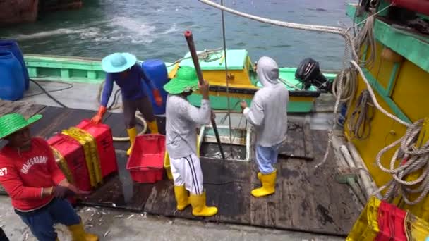 Kota Kinabalu Malaysia February 2020 Malaysian Fishermen Load Freshly Caught — Vídeo de stock