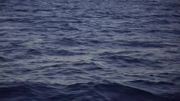 Azul Oceano Mar Onda Água Com Rápido Iate Barco Acordar — Vídeo de Stock