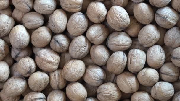 Walnuts Shell Close Top View Abstract Walnuts Heap Pattern Background — Stockvideo