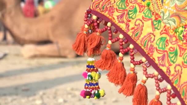 Decorative Ornaments Colored Threads Beads Hanging Umbrella Time Pushkar Camel — Video Stock