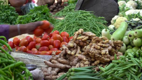 Udaipur India Noviembre 2018 Comerciante Alimentos Que Vende Verduras Mercado — Vídeo de stock