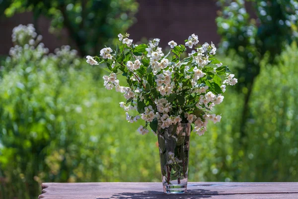 Beau Bouquet Avec Branches Jasmin Sur Une Table Bois Dans Photo De Stock