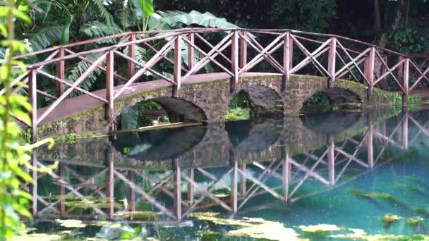 Bogenbrücke Über Einem See Mit Spiegelung Tansania Ostafrika Steg Über — Stockvideo