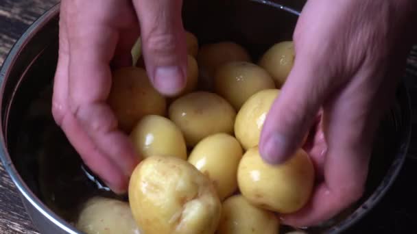 用金属锅里的水洗小马铃薯 男人洗生土豆 — 图库视频影像