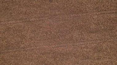 Kuru mısır tarlasında uçuyor, Ukrayna, Avrupa. Güneşli bir günde sonbaharın hava manzarası. Kurutulmuş mısır yetiştiriciliği, tarım sektörü