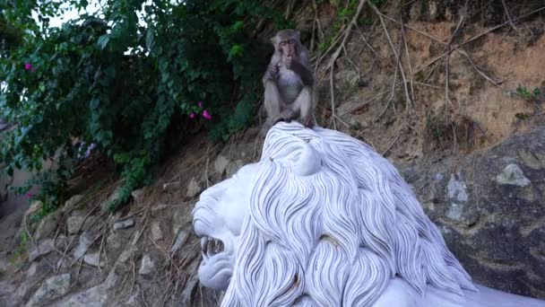 Porträtt Vild Apa Som Sitter Lejonsten Skulptur Vid Buddisttemplet Danang — Stockvideo
