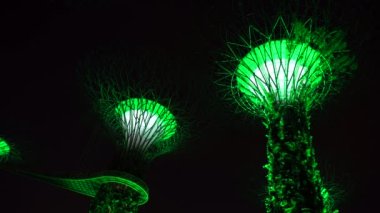 SINGAPORE CITY, SINGAPORE - 27 Mart 2019: marina körfezi yakınlarındaki Gardens 'ta süper ağaçlar, gece aydınlatılmış, Singapur, Güneydoğu Asya. Körfez kıyısında bir bahçe Singapur şehir merkezinde bir doğa parkı.