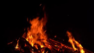 Şenlik ateşi geceleri ağaçları yakıyor. Şenlik ateşi parlak, ısı, ışık, kamp ateşi, büyük şenlik ateşi kamp ateşi, kamp ateşi, yakacak odun, turuncu ateş ve duman yakın