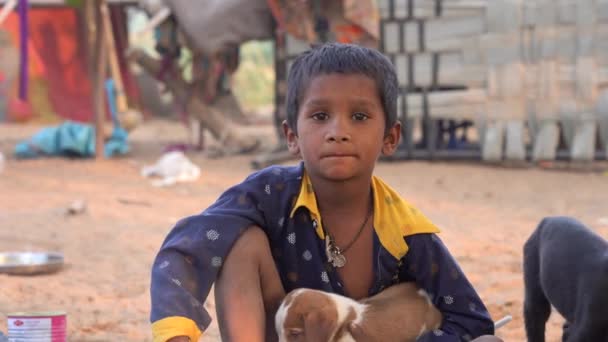 Пушкар Индия Ноября 2018 Года Индийский Бедный Ребенок Маленькой Собачкой — стоковое видео
