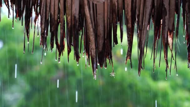 Tropikalny Letni Deszcz Padający Dużymi Kroplami Deszczu Spadającymi Słomy Dach — Wideo stockowe