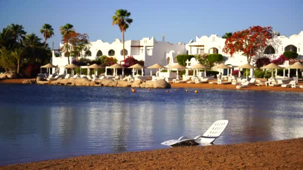 サンラウンジャー パラソル ヤシの木は エジプト アフリカのシャーム シェイクのリゾートタウンで午前中にビーチの穏やかな紅海の水に反映されています 隔離中の空のビーチ — ストック動画