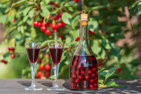 Homemade Cherry Brandy Two Glasses Glass Bottle Wooden Table Summer — 스톡 사진