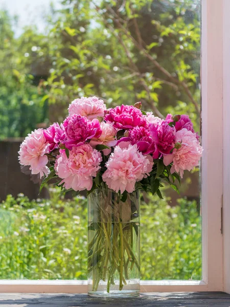 Beautiful Bouquet Pink Peonies Flowers Glass Vase Windowsill Home Ukraine — Stock Photo, Image