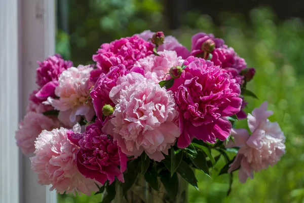 우크라이나 윈도빌에 꽃병에는 아름다운 분홍빛 꽃다발처럼 있습니다 색깔의 송곳니들을 스톡 사진