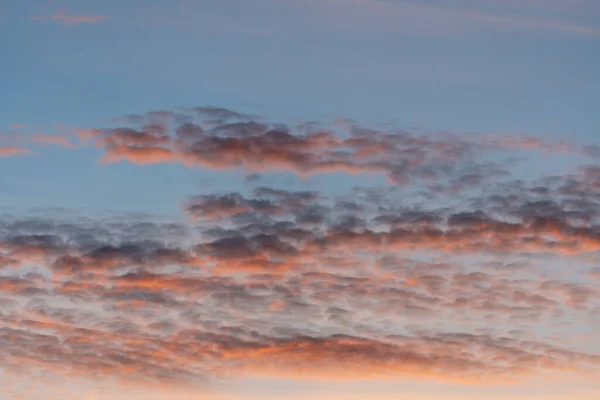 Cumulus Ροζ Σύννεφα Κατά Δύση Φυσικό Φως Της Ημέρας Και Εικόνα Αρχείου