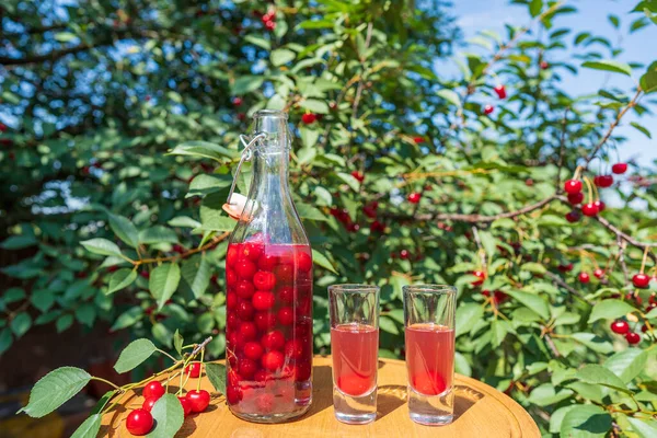 Homemade Cherry Brandy Two Glasses Glass Bottle Wooden Table Summer — Stock Photo, Image