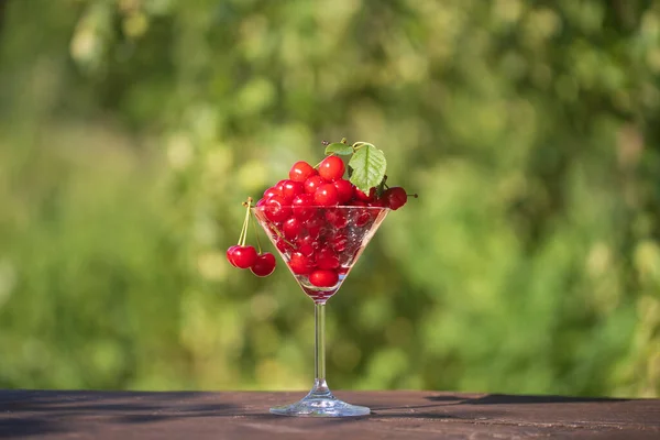 Red Fresh Cherry Martini Glass Wooden Table Summer Garden Close — ストック写真