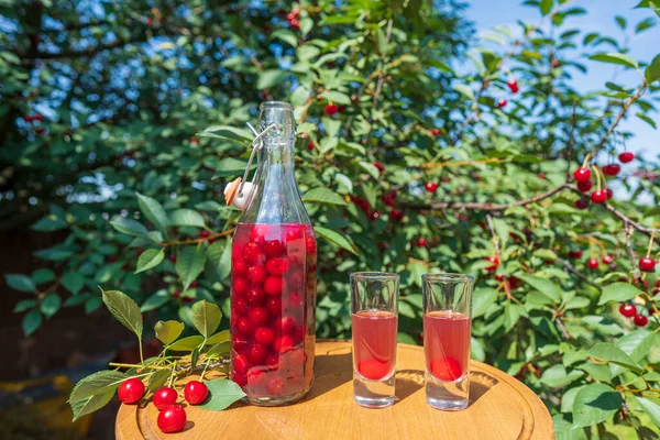 Homemade Cherry Brandy Two Glasses Glass Bottle Wooden Table Summer Immagini Stock Royalty Free