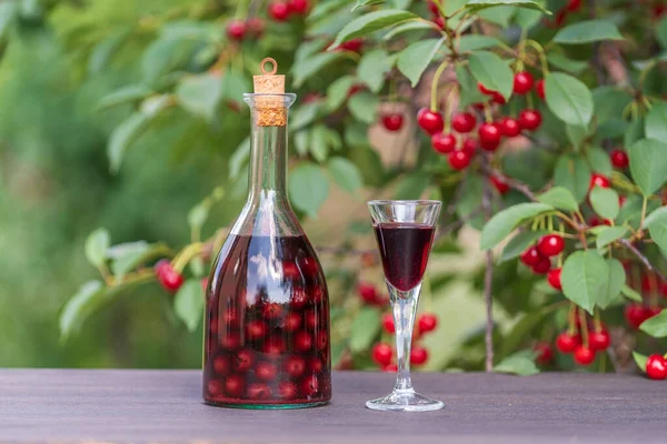 Homemade Cherry Brandy Glasses Glass Bottle Wooden Table Summer Garden — Stok fotoğraf