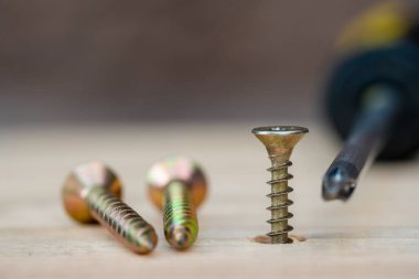 Golden screws screwed into wooden plank and screwdriver, close up