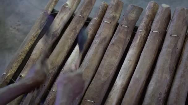 Las Manos Músico Tocando Marimba Para Los Turistas Isla Zanzíbar — Vídeo de stock