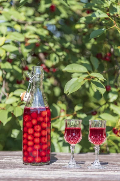 Homemade Cherry Brandy Glasses Glass Bottle Wooden Table Summer Garden — ストック写真