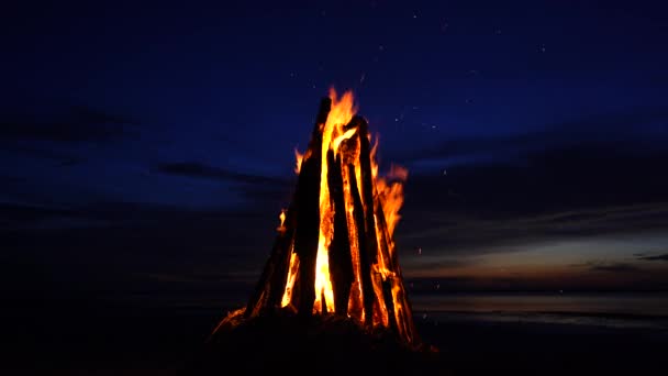 Het Grote Vuur Brandt Tegen Achtergrond Van Nachtelijke Hemel Het — Stockvideo
