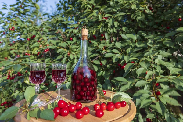Homemade Cherry Brandy Two Glasses Glass Bottle Wooden Table Summer — Fotografia de Stock