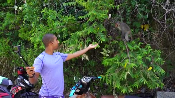 Lao Cham Vietnam June 2020 Man Tourists Feeds Wild Monkey — Vídeos de Stock