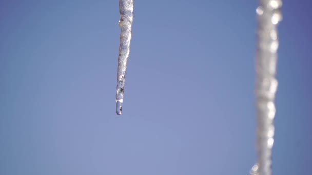 Gefrorene Eiszapfen Isoliert Auf Blauem Himmelshintergrund Einem Sonnigen Frühlingstag Aus — Stockvideo