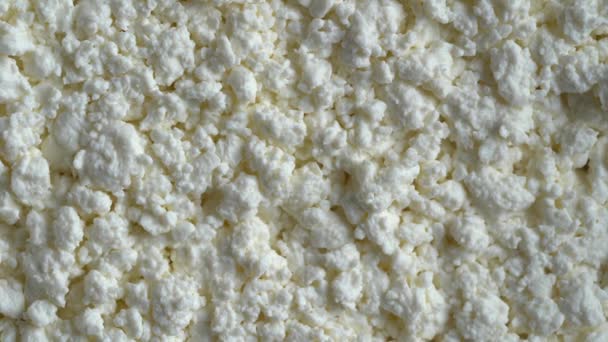 Cottage Cheese Background Top View Rotates Tekstur White Grainy Produk — Stok Video