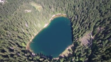 Yoğun kozalaklı ve kayın ormanlarıyla çevrili dağ gölü manzarası. Karadağ, Avrupa. Karadağ 'da ona Zabojsko Jezero diyorlar ve 1481 metre yüksekliğe sahip.