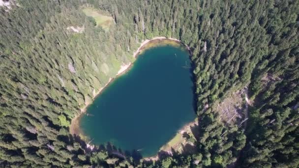 Vista Aérea Del Lago Montaña Rodeado Densos Bosques Coníferas Hayas — Vídeo de stock