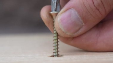 Electric screwdriver screwing a golden screw into a wooden board, macro, closeup