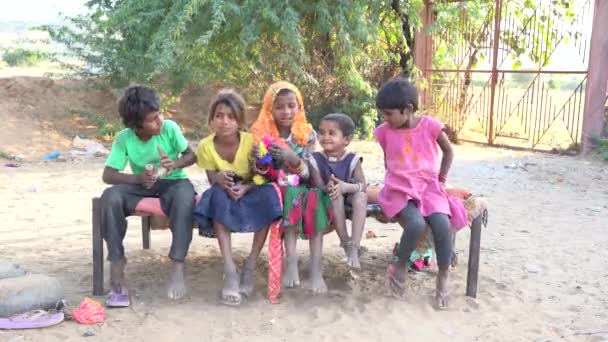 Pushkar India Noviembre 2018 Niños Pobres Indios Desierto Thar Time — Vídeo de stock