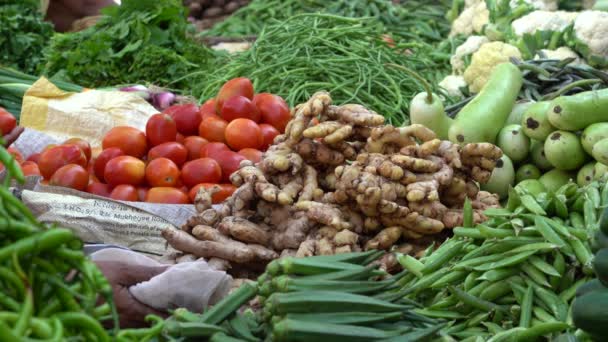 Udaipur India November 2018 Food Trader Selling Vegetables Street Market — Stock Video